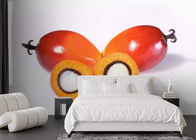 Oil palm fruit Wall mural