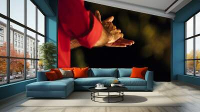 Close up of the clasped hands of a male flamenco dancer Wall mural