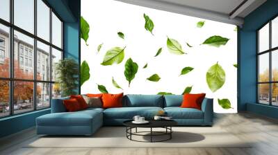 Green leaves falling separately, swirling from above, isolated on a transparent white background in PNG format. Graphic resource for autumn or spring. Wall mural