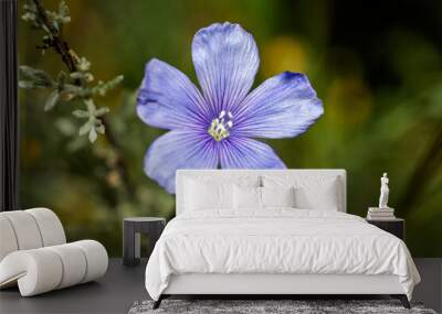 Beautiful wild blue flower growing freely in the field, under the radiant sun. Wall mural