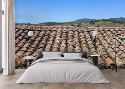 Weathered terracotta roof tiles with moss and lichen cover an old building. Distant hills and blue sky visible beyond the rustic roofline. Wall mural