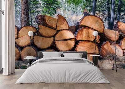 Split Ponderosa Pine Wood Pile Wall mural