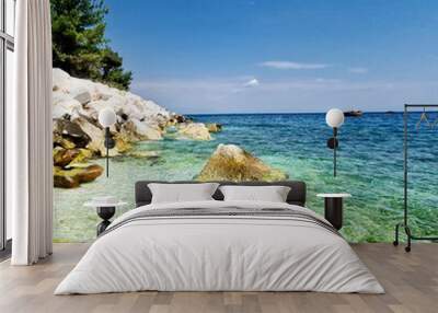 coral reef and sea Wall mural