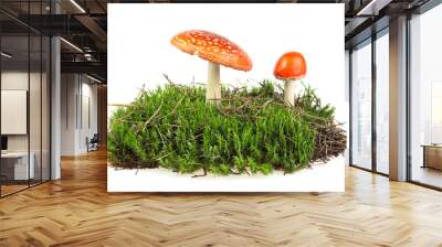 Fly agaric mushrooms on green moss isolated over white background Wall mural