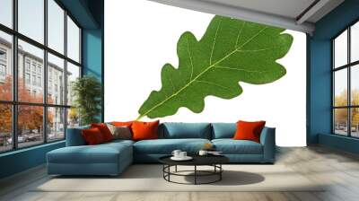 Green oak leaf isolated on a white background Wall mural