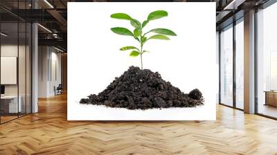 Green sprout growing out from soil isolated on white background Wall mural