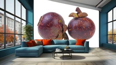 Two purple mangosteens isolated on a white background Wall mural