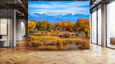 Autumn Landscape of the Sangre de Cristo Mountains in New Mexico Wall mural