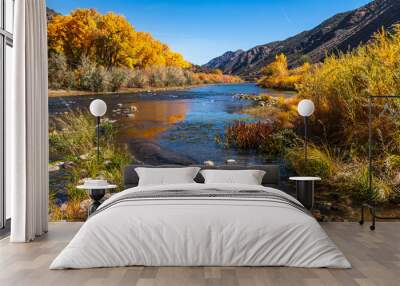 Beautiful autumn colors on  Rio Grande river flowing through New Mexico Wall mural