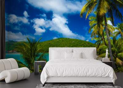 A tranquil sandy beach cove, Virgin Gorda, British Virgin Islands. Wall mural