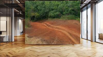 ATV tracks in the red dirt on the tropical island of Kauai, Hawaii, USA Wall mural