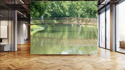 A man and his dog cross the water company canal by a walking bridge, Indianapolis Wall mural