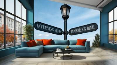 Lamppost and street signs in a neighborhood in Carmel, Indiana. Wall mural