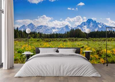 Mountain range in spring in Grand Tetons National Park  Wall mural