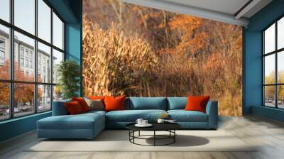 Late Autumn colors Wall mural