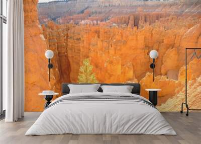 Scenic panorama of rock formations at sunny day in Paunsaugunt Plateau of Bryce Canyon National Park, USA Wall mural