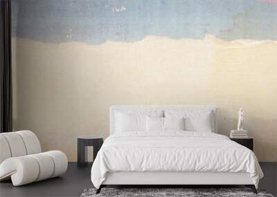 Background Wall mural