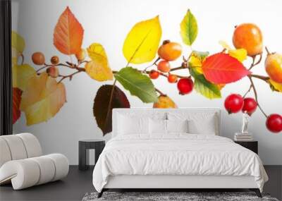 Autumn Branch with Colorful Leaves and Red Berries Isolated on White Background Wall mural