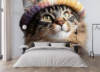 Cute Cat Wearing a Knit Hat. Wall mural