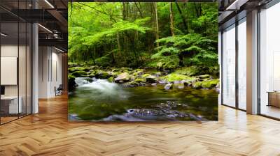 Slow moving stream in Smoky Mountain National Park Wall mural