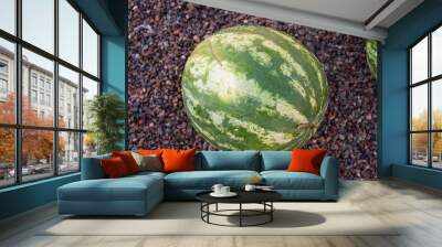 a bunch of ripe watermelons Wall mural