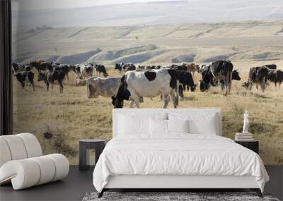 cows on pasture Wall mural