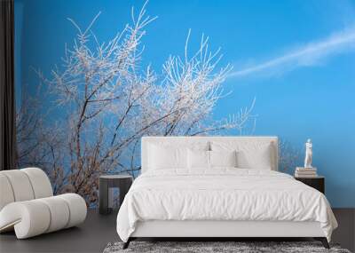 Frozen tree branches against the blue sky Wall mural