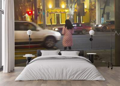 Rear view of a woman going home late at night. The girl crosses the road at the pedestrian crossing. Wall mural