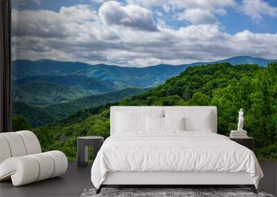 A panoramic view of the Roan Highlands from the Chestnut Ridge Overlook in Roan Mountain State Park, Tennessee. Framed by forest in the foreground and a thick cloud cover above the mountain peaks. Wall mural