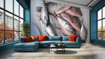 fishes Wall mural