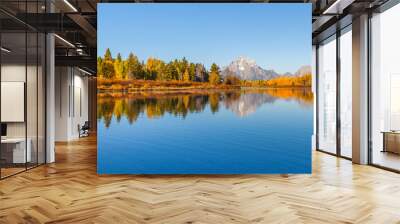 Grand Teton National park Wall mural