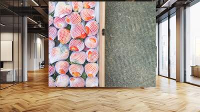 Freshness strawberry in the shockproof fruit net Wall mural