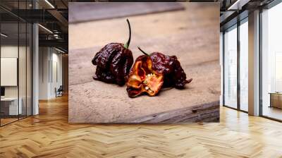 Chocolate Primo Reaper cut - Super Hot Pepper group 2 Wall mural