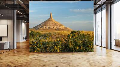 Chimney Rock National Historic Site, western Nebraska, USA Wall mural