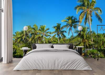 Resort surrounded by leaning palm trees on Nananu-i-Ra island, F Wall mural