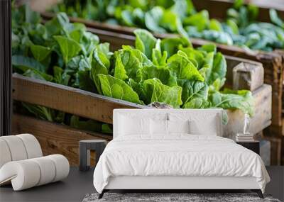 Fresh Leafy Greens in Wooden Crates   Sustainable Farming and Nutrient Rich Produce Wall mural