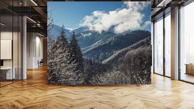 Beautiful winter landscape with snow covered trees in the mountains of europe Wall mural