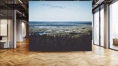 Looking across the forest on Swedish Lapland Wall mural