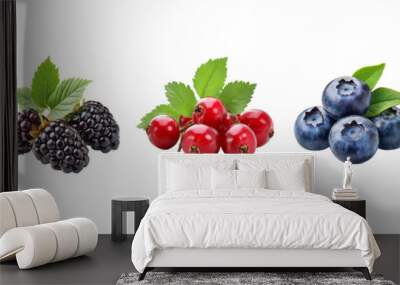 fresh berries, PNG background  Wall mural