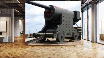 Anti Aircraft Gun A gun designed to shoot down enemy aircraft wi Wall mural