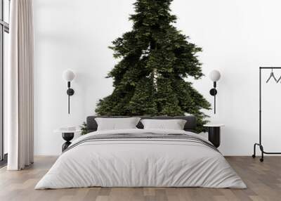 conifer tree with roots hovering isolated on white background Wall mural