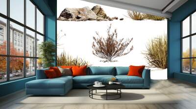 desert collection, dry plants and rocks set, isolated on transparent background Wall mural