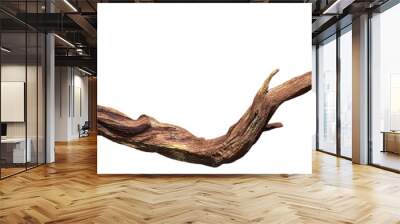 driftwood isolated on white background, old wood Wall mural