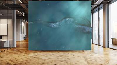 giant oarfish, beautiful Regalecus glesne so called king of herrings source of sea serpent sightings Wall mural