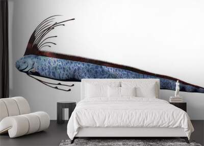 giant oarfish (Regalecus glesne) isolated on white background Wall mural