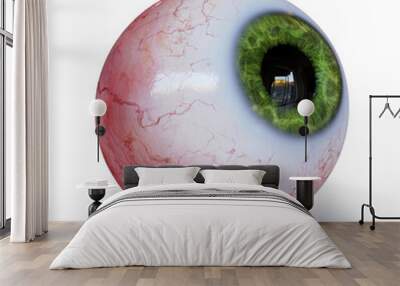 human eyeball with green iris looking up, isolated with shadow on white background Wall mural