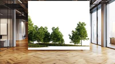 landscape with trees, beautiful small grove isolated on transparent background banner Wall mural