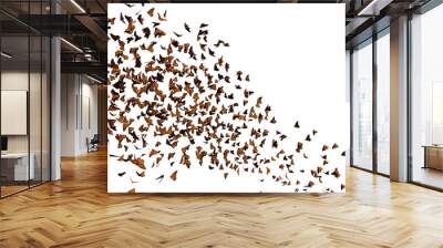 monarch butterflies swarm, Danaus plexippus group isolated on white background Wall mural