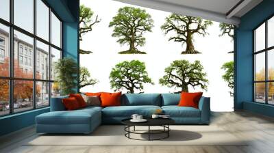 oak tree, collection of beautiful old acorn trees Wall mural