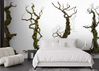 overgrown dead trees, collection of eerie trees isolated on white background Wall mural